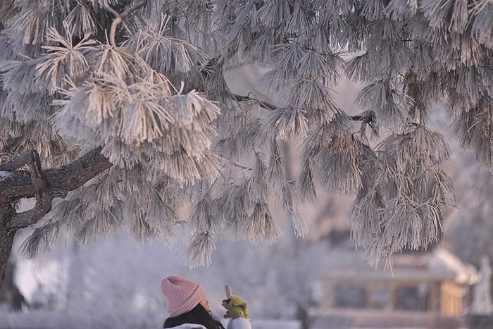 哈爾濱松花江畔現(xiàn)霧凇景觀(guān) 