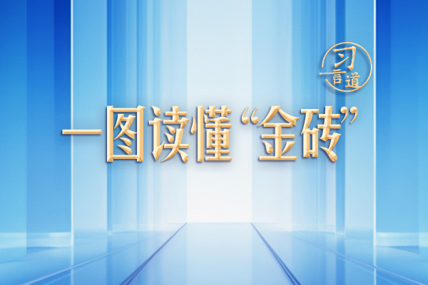 【眾行致遠】習(xí)言道｜一圖讀懂“金磚”從何而來